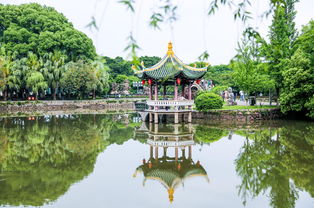 浙江的 橘子洲 ,是中國四大名嶼,門票僅30元