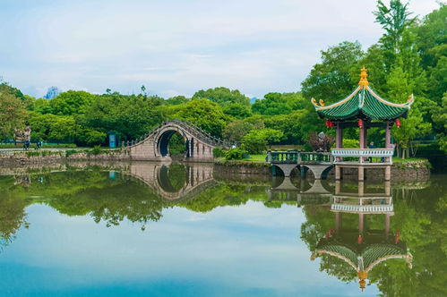 溫州隱藏在鬧市中的美景,歷代文人墨客都對此贊嘆不已,你想去嗎