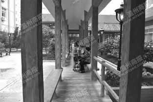 溫州海歸成年輕院長 把打火機廠改成養老院 溫州江心寺