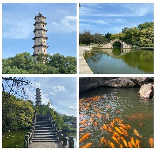 溫州江心寺 探秘古剎的靜謐之地